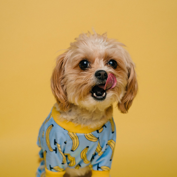 Dit zit er in onze producten